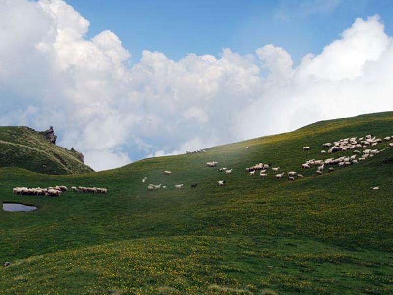 Pandey Lodge Buin Екстериор снимка
